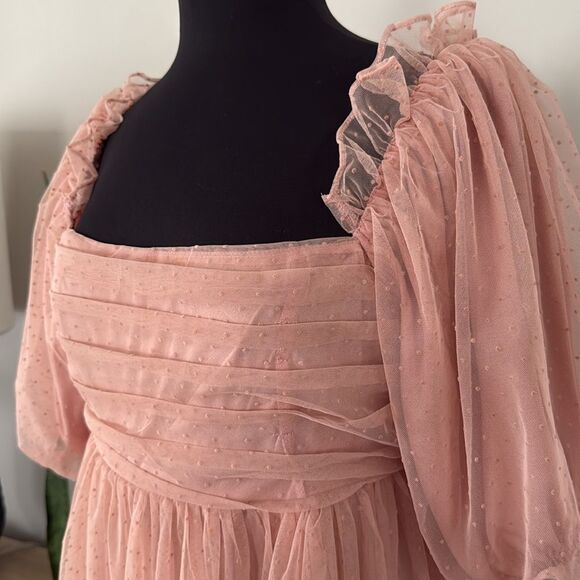 Mable Whimsical Blush Organza Babydoll Muse Chiffon Tulle Swiss Dot Skater Dress - Picture 11 of 13